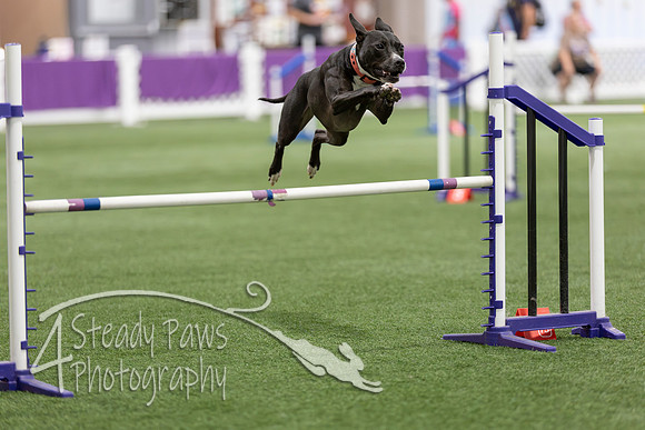 Speedstakes2026427