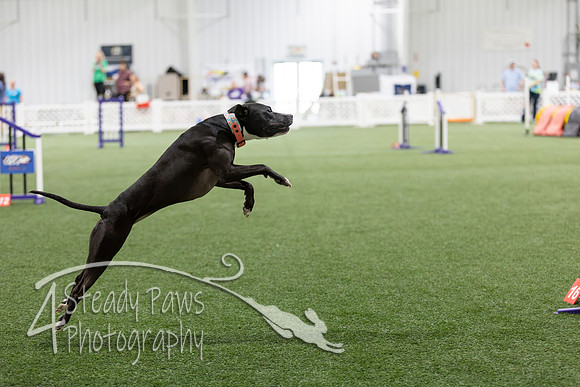 Speedstakes2026428