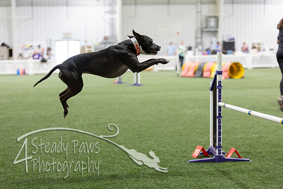 Speedstakes2026429