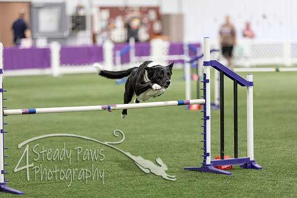 Speedstakes2026436