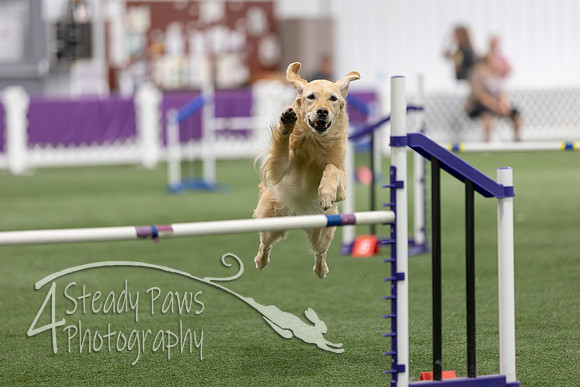 Speedstakes2026443