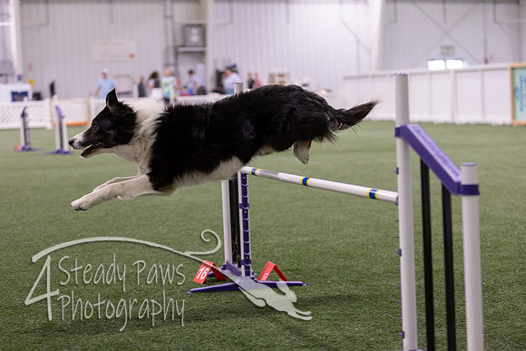 Speedstakes2026453