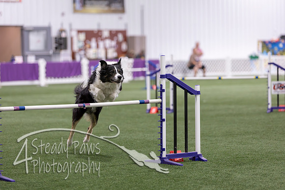 Speedstakes2026454