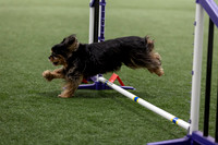 Speedstakes