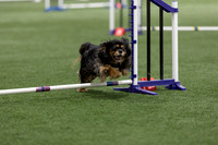 Speedstakes202603