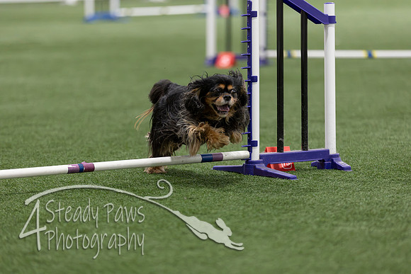 Speedstakes202603