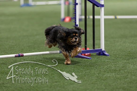 Speedstakes202605