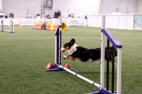 Speedstakes202608