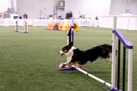 Speedstakes202609