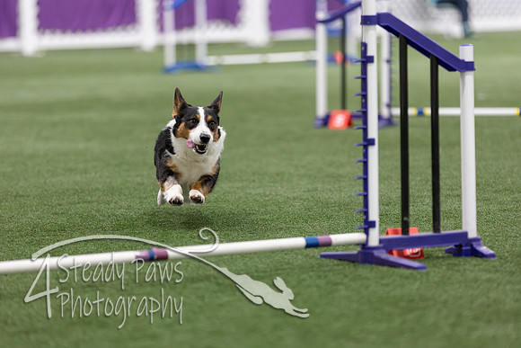 Speedstakes202611