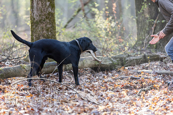 ShedHuntSat14