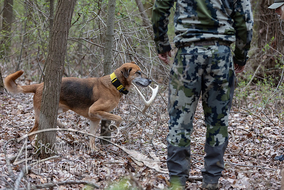 ShedHuntSat12