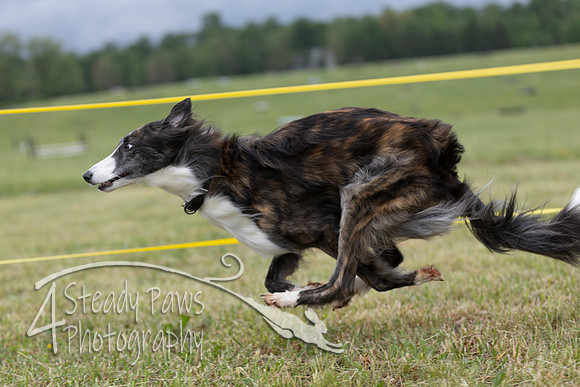 FastDash45