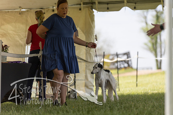 SSSShow1_257