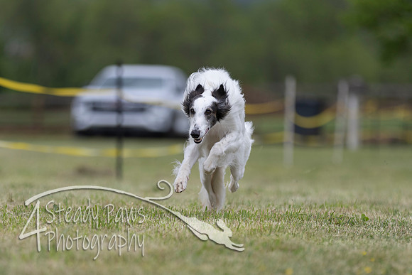 FastDash199