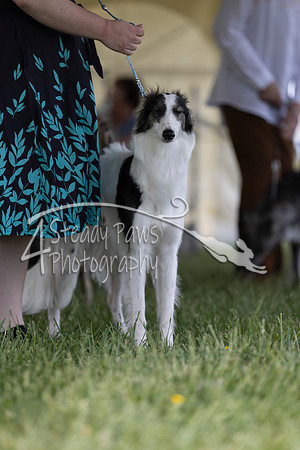 SSSShow1_267