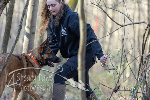 ShedHuntSat19