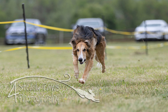 FastDash104