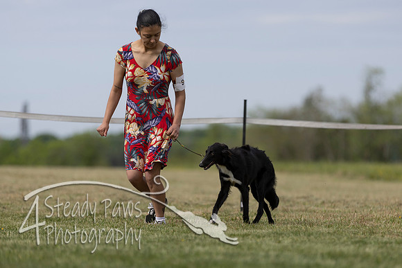 SSSShow1_221