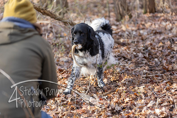 ShedHuntSat36