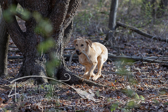 ShedHuntSat50