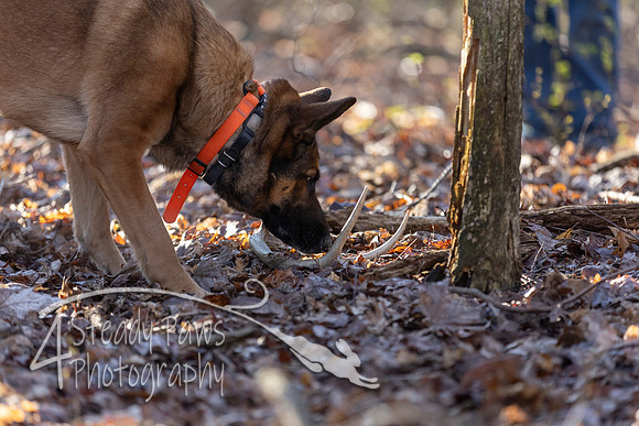 ShedHuntSat18