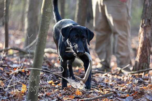 ShedHuntSat07