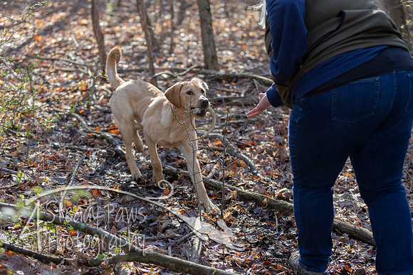 ShedHuntSat57
