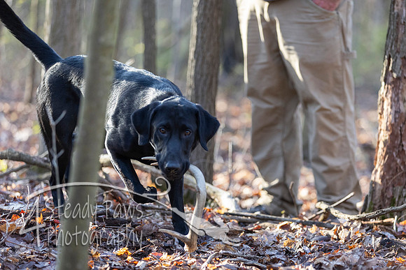 ShedHuntSat05