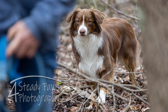 ShedHuntSat222