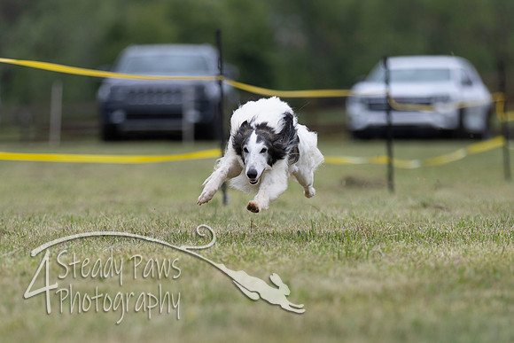FastDash47