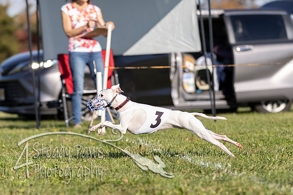 AutumnDerbySat13