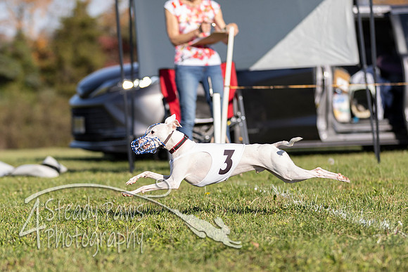AutumnDerbySat14