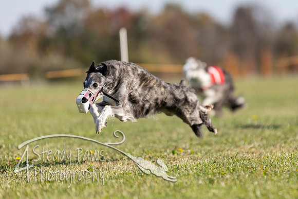 AutumnDerbySat15