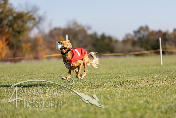 AutumnDerbySat1