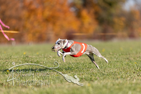 AutumnDerbySat6