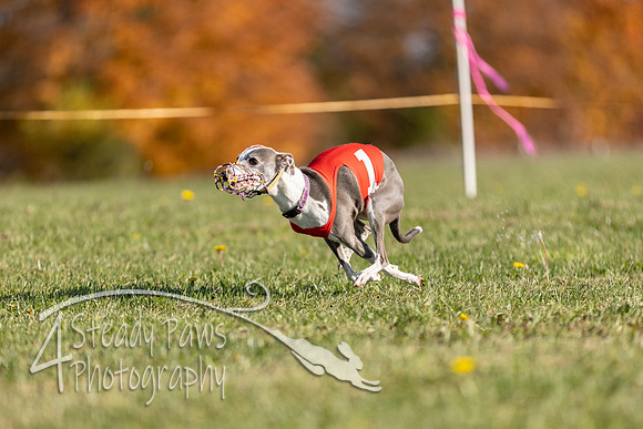 AutumnDerbySat8