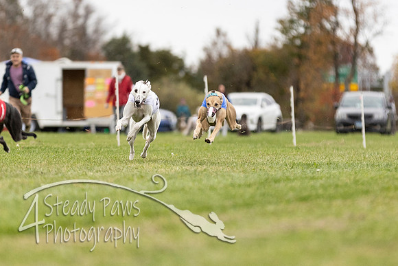 AutumnDerbySun13