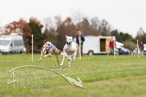 AutumnDerbySun14