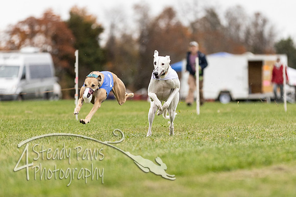 AutumnDerbySun15