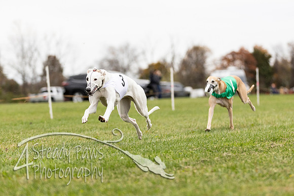 AutumnDerbySun16