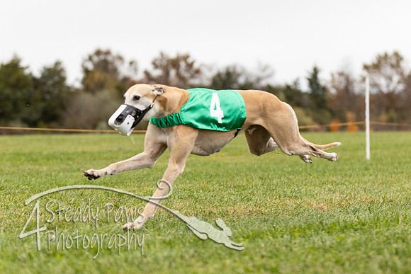 AutumnDerbySun18