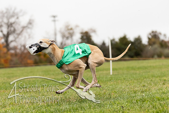 AutumnDerbySun19