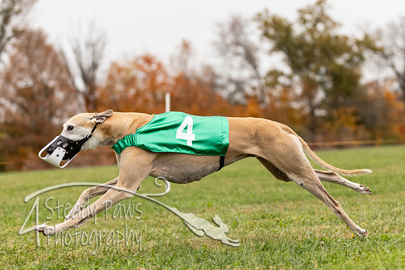 AutumnDerbySun20