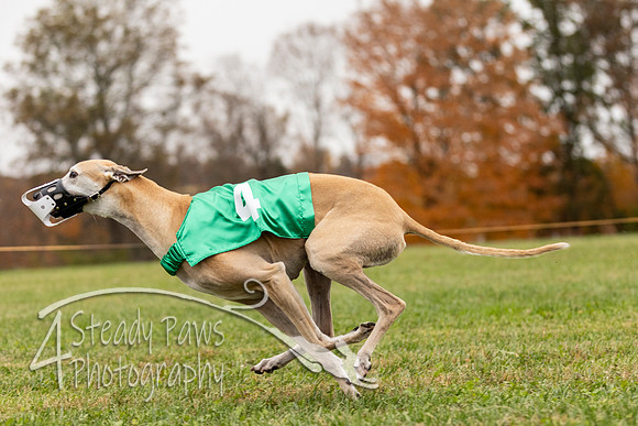 AutumnDerbySun21