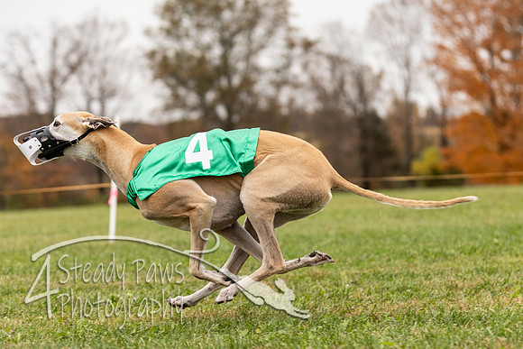 AutumnDerbySun22