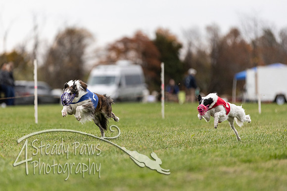 AutumnDerbySun1