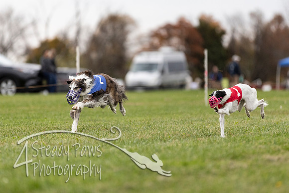 AutumnDerbySun3