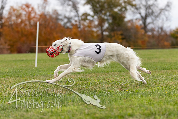 AutumnDerbySun5