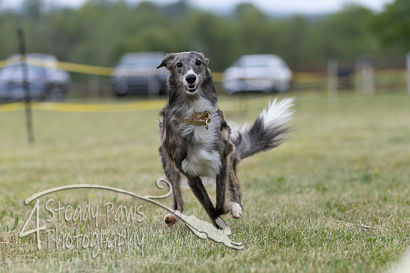 FastDash143